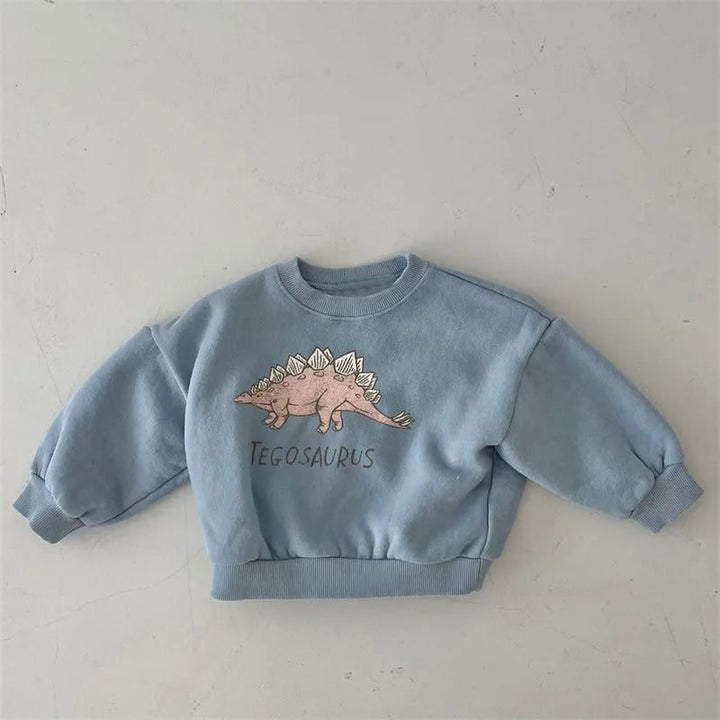 Kinderen Sweater Leuke Dinosaurusprint 100% Katoen Groene Kleur 4