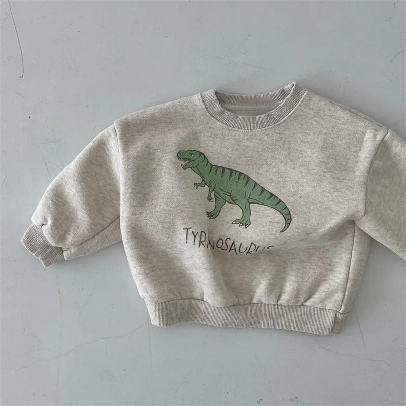 Kinderen Sweater Leuke Dinosaurusprint 100% Katoen Groene Kleur 5