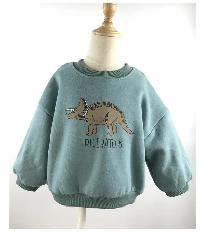 Kinderen Sweater Leuke Dinosaurusprint 100% Katoen Groene Kleur 6
