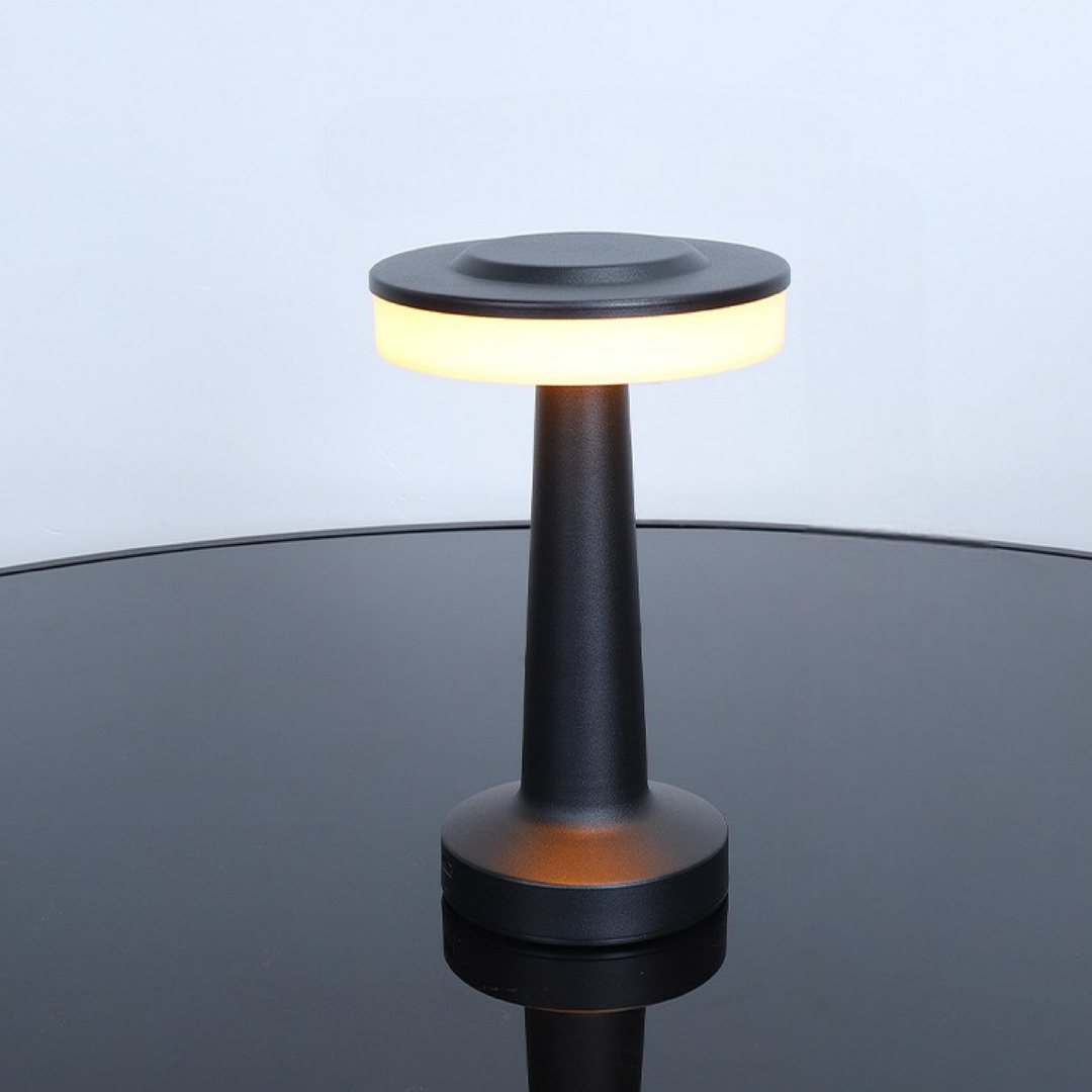 Luminara | Sleek Modern Metal USB Charging Table Lamp for Bedside or Desk 0