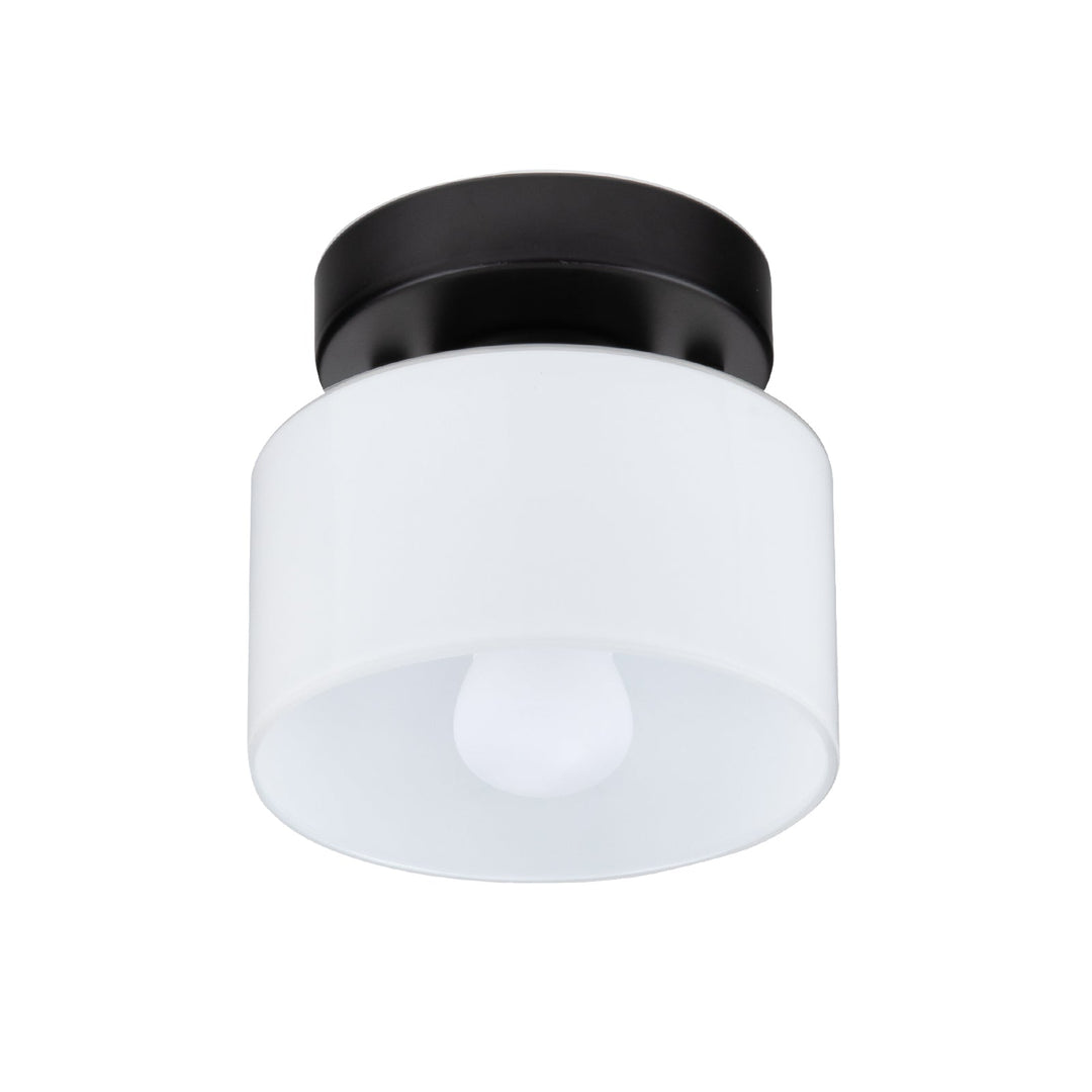 Lumosphere | Charming Retro Glass Flush Mount Ceiling Light Fixture 10