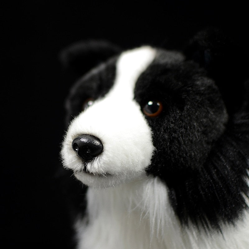 Noble Border Collie plush dog 4