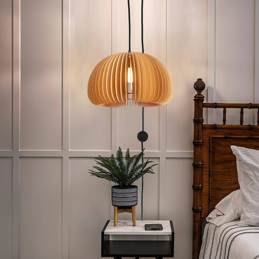 Nolani Plug-in Pendant Lamp 3