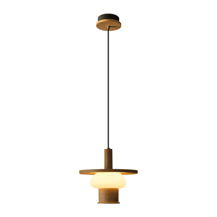 Nosika Hanging Lamp 0