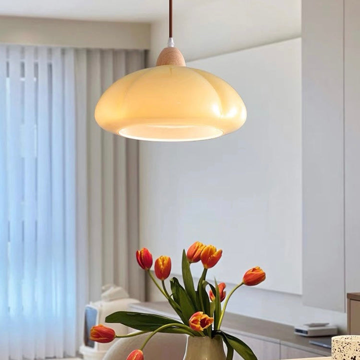 Olvy Pumpkin Hanging Lamp 9