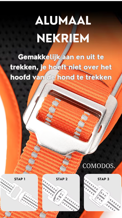 PawGuard | Comfortable Adjustable Reflective Dog Harness 3