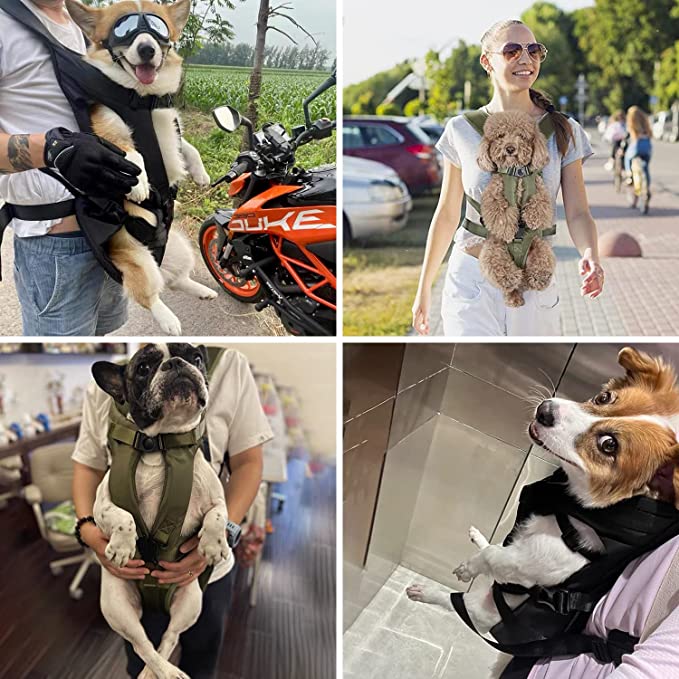 Petcarry - Hands-Free Dog Carrier Backpack for Comfortable Travel & Easy Mobility 1