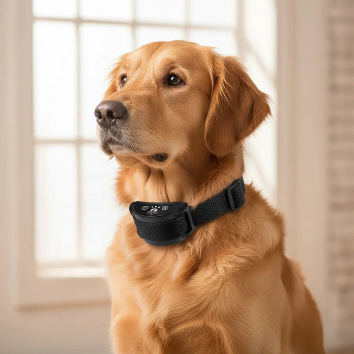 Rechargeable Anti-Bark Collar with Adjustable Vibration Levels – Waterproof Dog Training Device 2