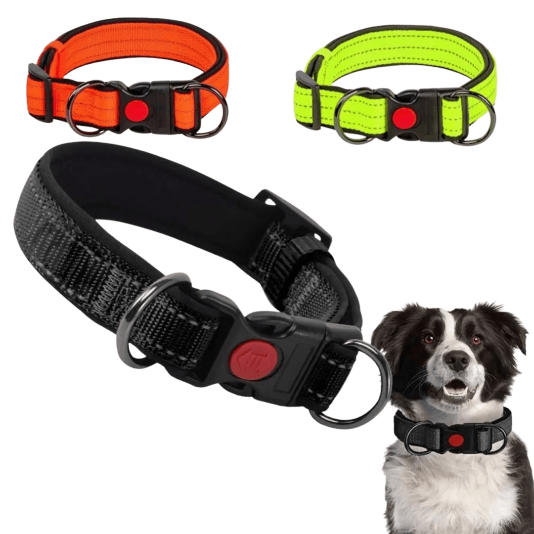 Reflective Dog Collar with 360° Visibility, Adjustable Neoprene Padding for All Sizes – Durable Nylon, Safe Plastic Buckle 1