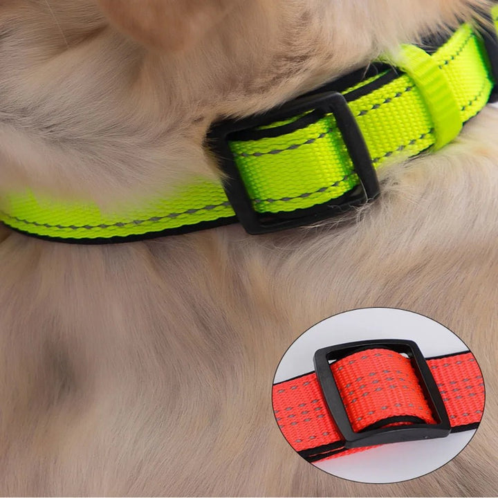 Reflective Dog Collar with 360° Visibility, Adjustable Neoprene Padding for All Sizes – Durable Nylon, Safe Plastic Buckle 2