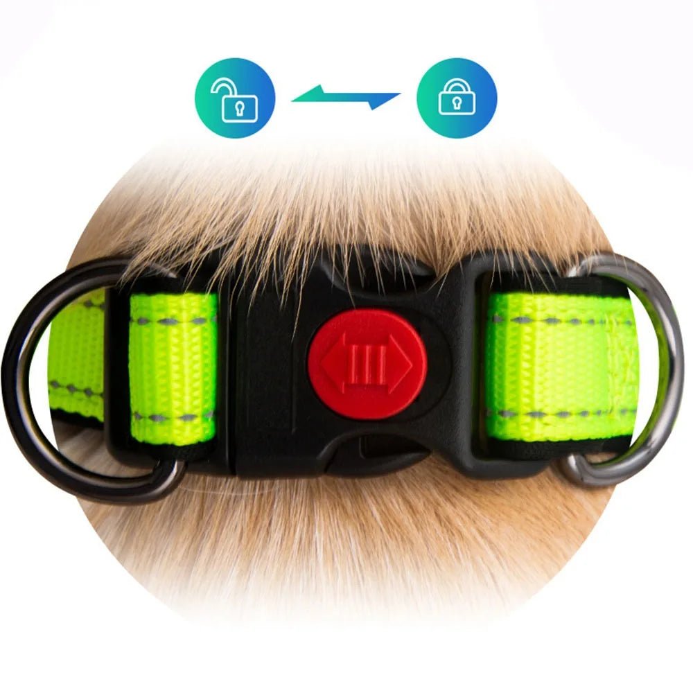Reflective Dog Collar with 360° Visibility, Adjustable Neoprene Padding for All Sizes – Durable Nylon, Safe Plastic Buckle 3
