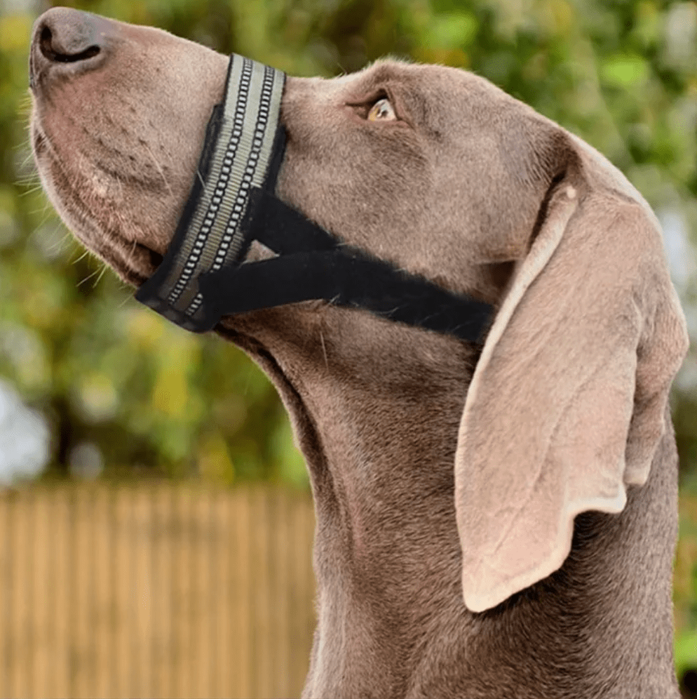 Reflective Tactical Dog Muzzle for Medium to Large Breeds – Comfortable and Safe Design 1