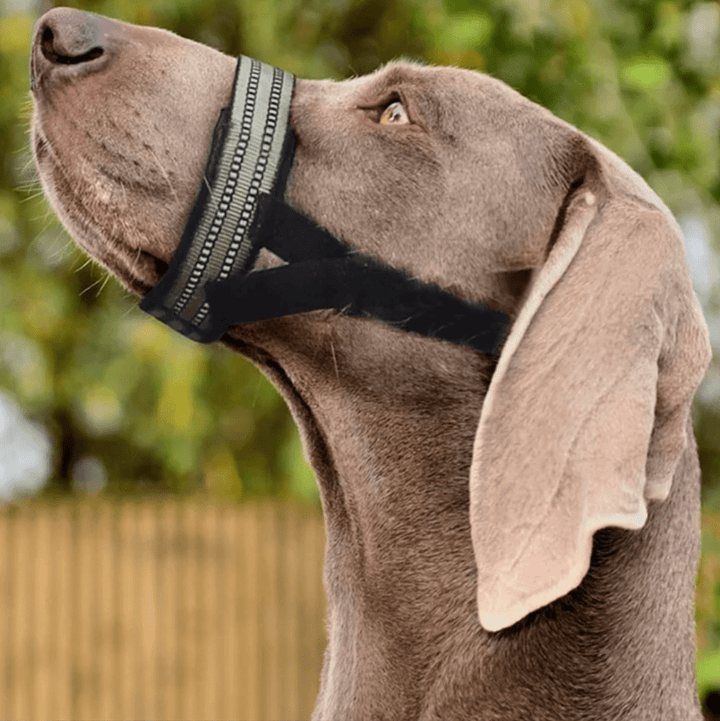 Reflective Tactical Dog Muzzle for Medium to Large Breeds – Comfortable and Safe Design 1