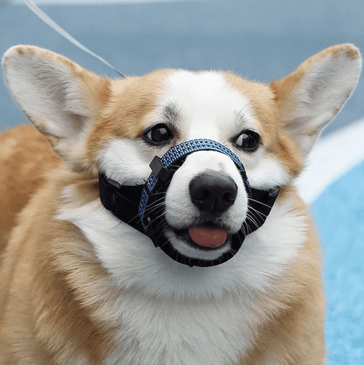 Reflective Tactical Dog Muzzle for Medium to Large Breeds – Comfortable and Safe Design 2