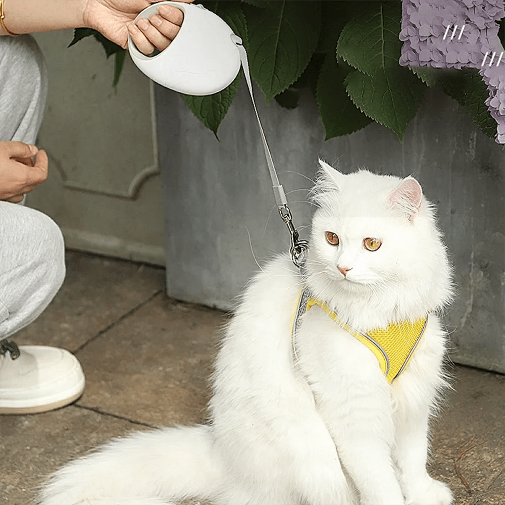 Retractable Dog Leash 3M/5M – Durable Nylon with Comfortable Grip for Small to Medium Pets 1