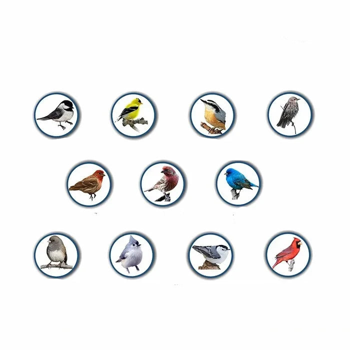 Squirrel Proof Bird Feeder with Weight-Activated Perch – Durable Metal Construction for Backyard Birds 2