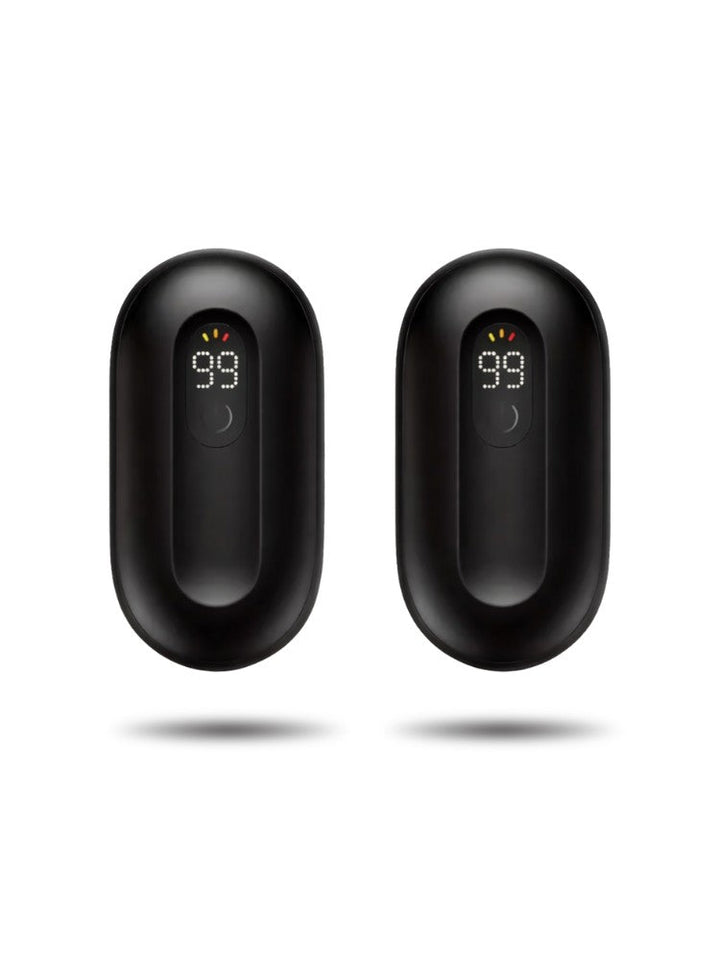 ThermoGuard | Efficient Compact Rechargeable Hand Warmers 0