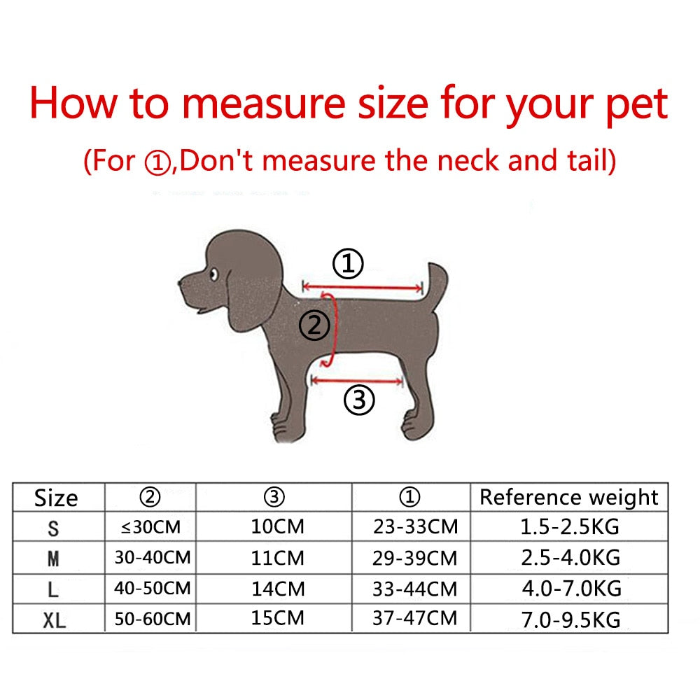 Travel Buddy | Breathable Mesh Pet Carrier Backpack with Secure Closure – Comfortable Design for Outdoor Adventures 3