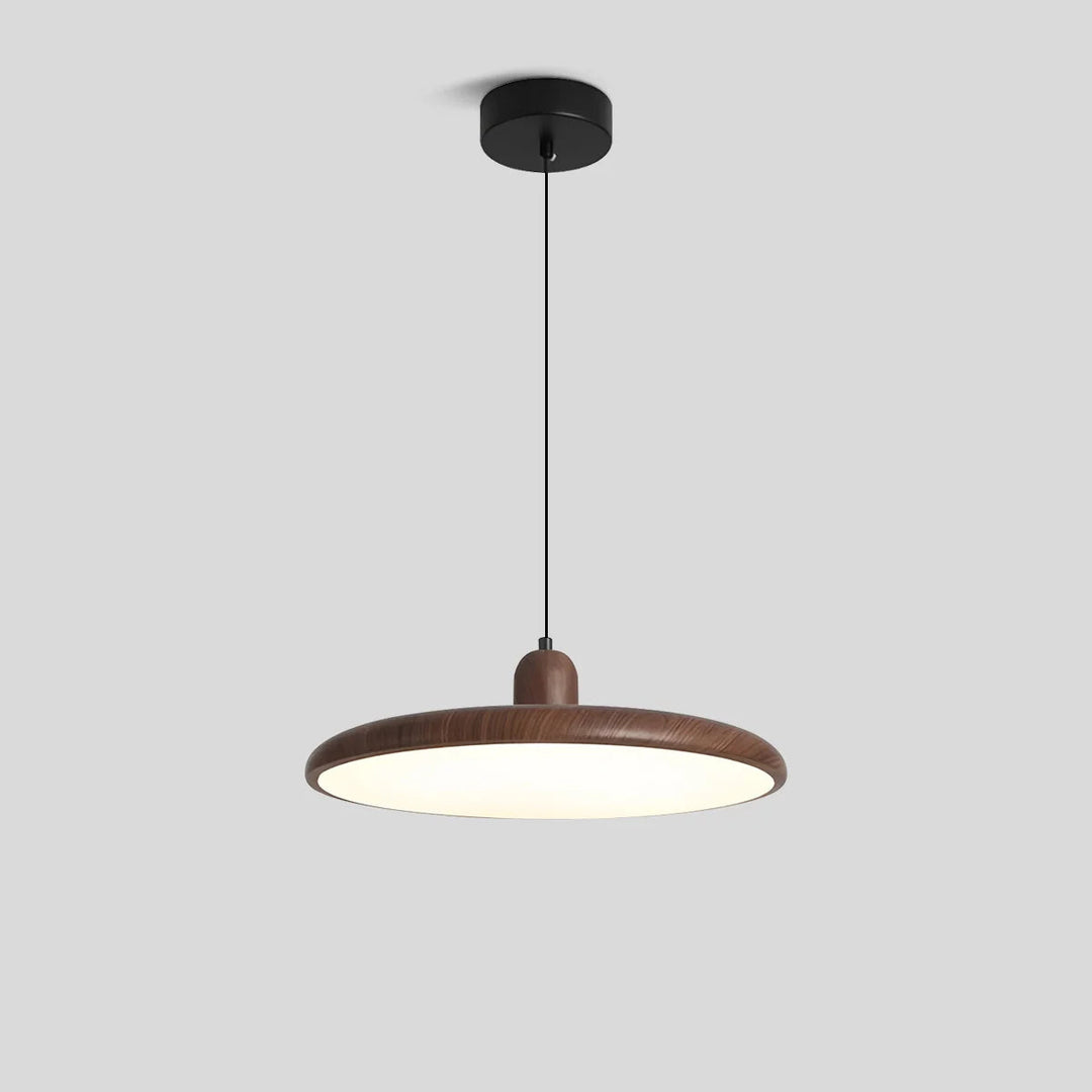 Weluzon Hanging Lamp 0