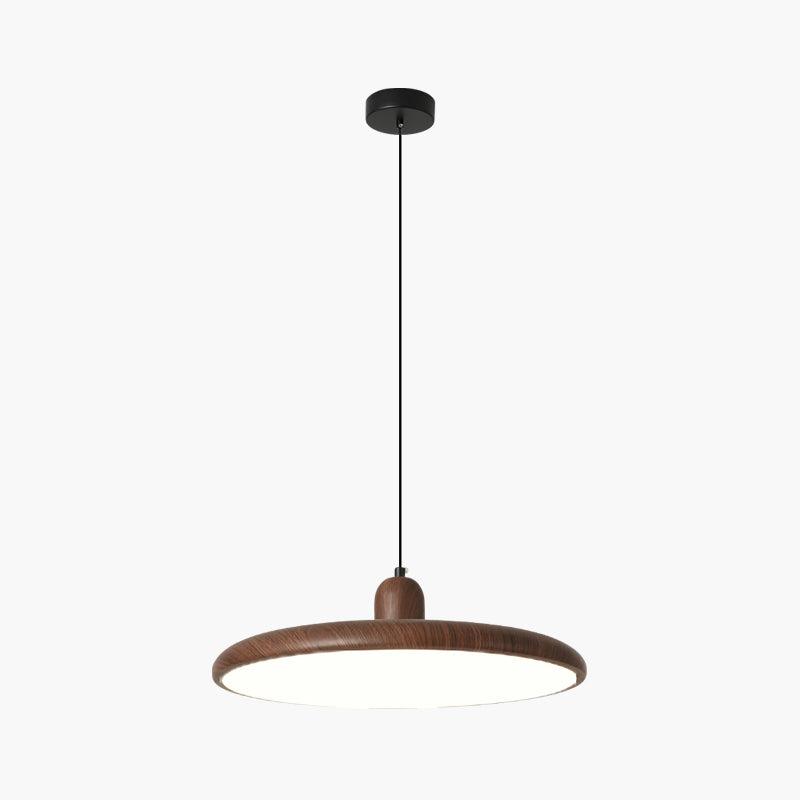 Weluzon Hanging Lamp 2