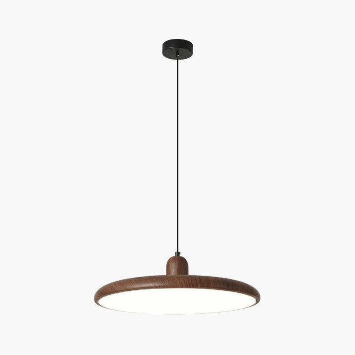 Weluzon Hanging Lamp 2