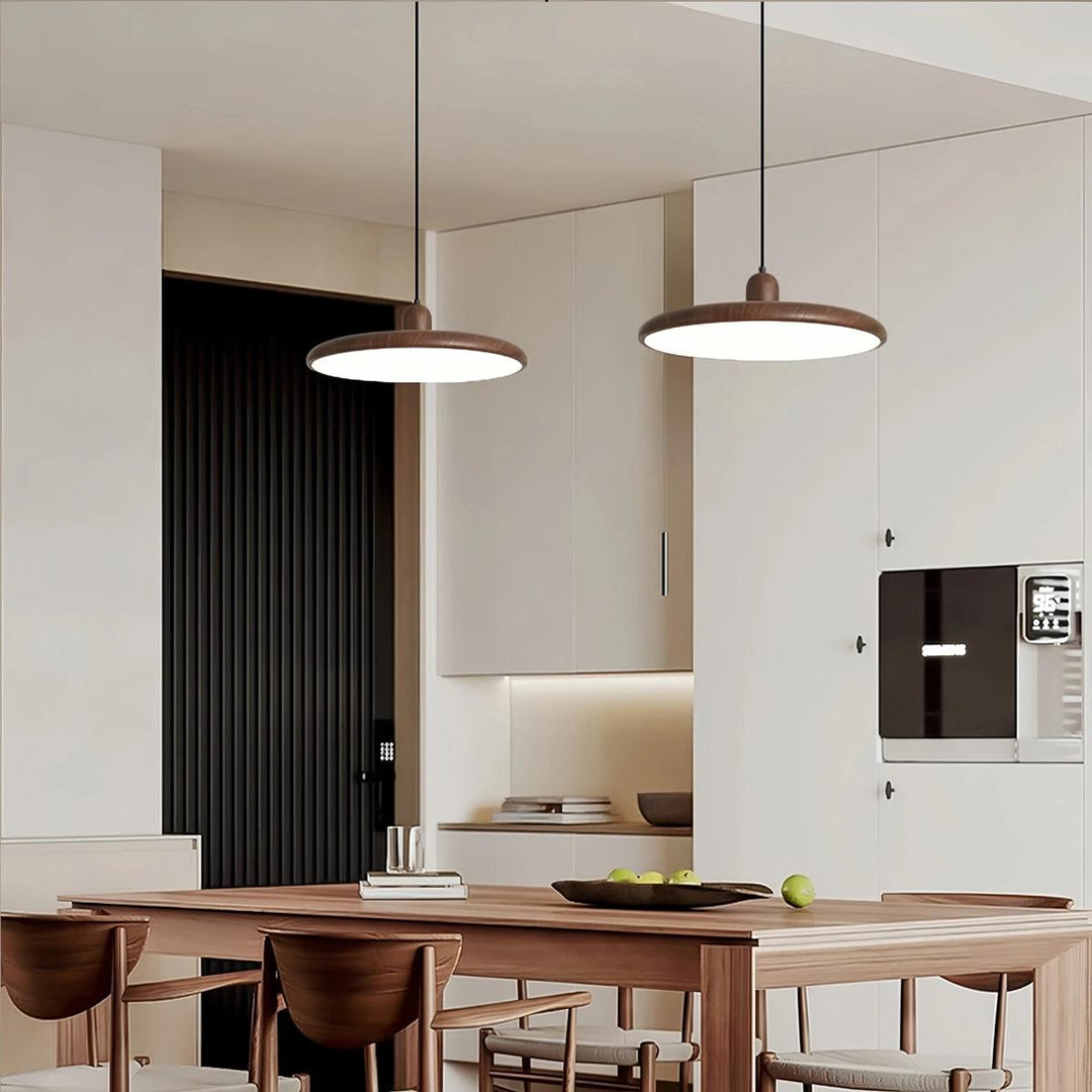 Weluzon Hanging Lamp 8