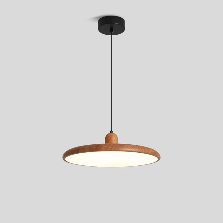 Weluzon Hanging Lamp 9
